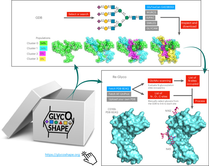IF36.1|GlycoShape:秒级恢复糖蛋白天然构象的糖基化工具箱(原文图,详见文章页署名)