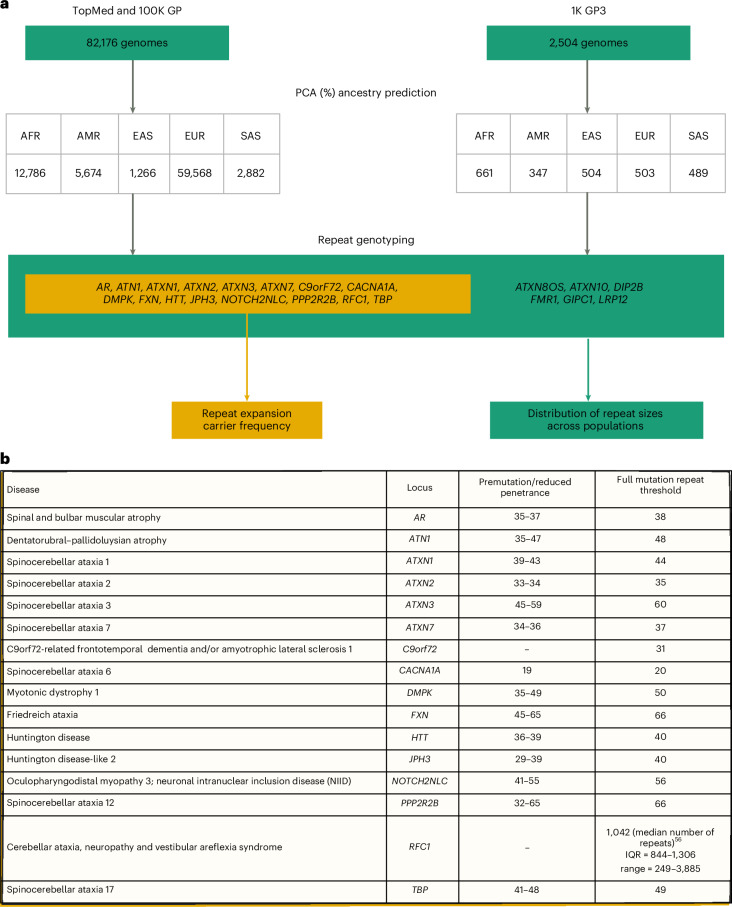 IF58.7|全基因组测序揭示重复扩增疾病突变频率远超预期(原文图,详见文章页署名)