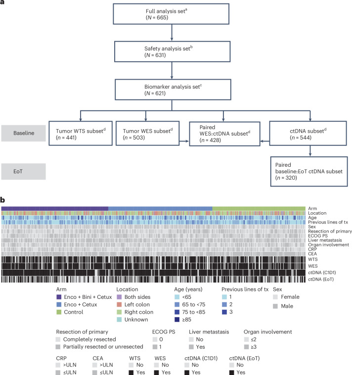 IF58.7|BEACON CRC分子图谱揭示BRAF-V600E突变型mCRC的耐药机制与免疫关联(原文图,详见文章页署名)