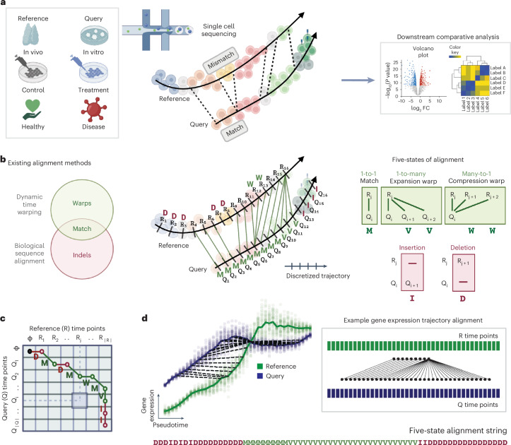 IF36.1|基因级单细胞轨迹对齐框架 Genes2Genes(原文图,详见文章页署名)