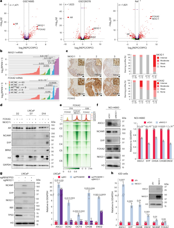 Fig. 5 · 原文图,按文末许可署名使用