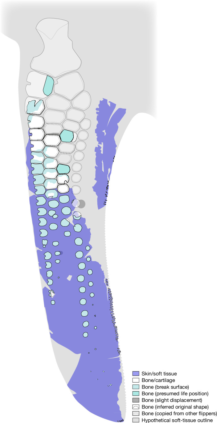 Fig. 4 · 原文图,按文末许可署名使用