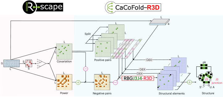 IF36.1|CaCoFold-R3D:进化信息引导的RNA三维模块与二级结构一体化预测(原文图,详见文章页署名)