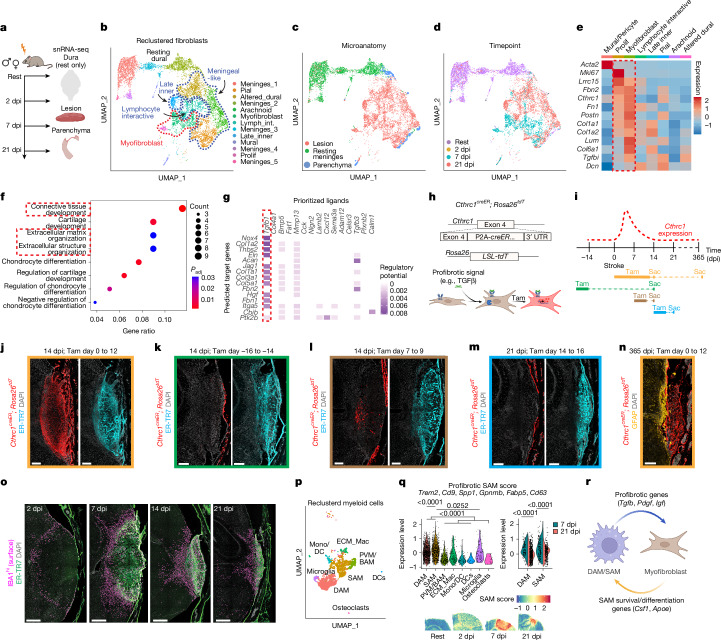 Fig. 2 · 原文图,按文末许可署名使用