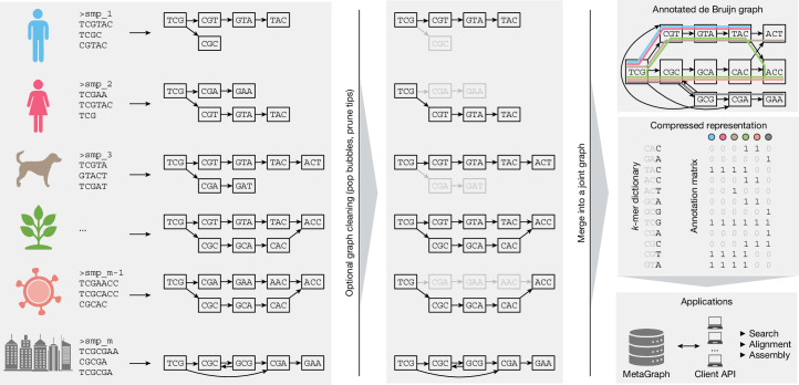 IF50.5|MetaGraph:让PB级序列库实现全文搜索(原文图,详见文章页署名)