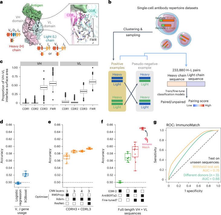 IF36.1|ImmunoMatch:用机器学习预测抗体轻重链配对(原文图,详见文章页署名)