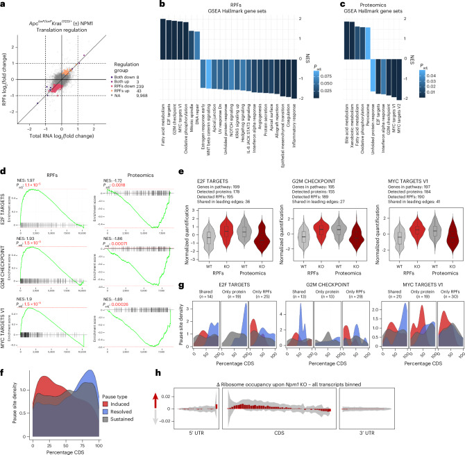 Fig. 4 · 原文图,按文末许可署名使用