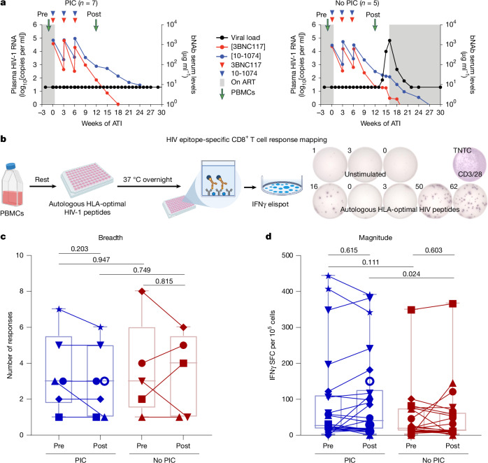 IF50.5|CD8+ T细胞干性先于HIV病毒血症控制(原文图,详见文章页署名)