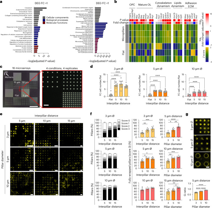 Fig. 3 · 原文图,按文末许可署名使用