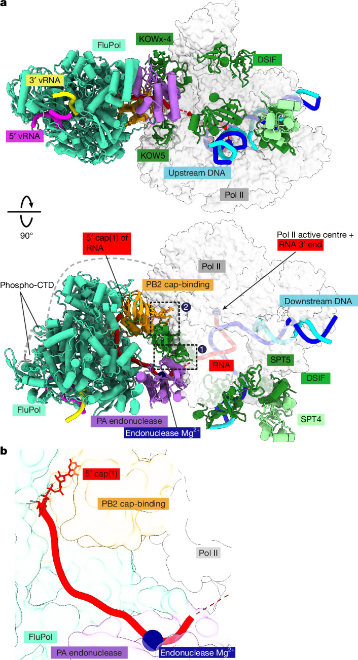 Fig. 2 · 原文图,按文末许可署名使用