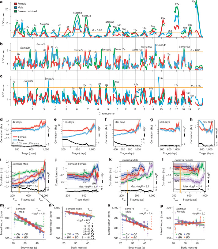 Fig. 4 · 原文图,按文末许可署名使用