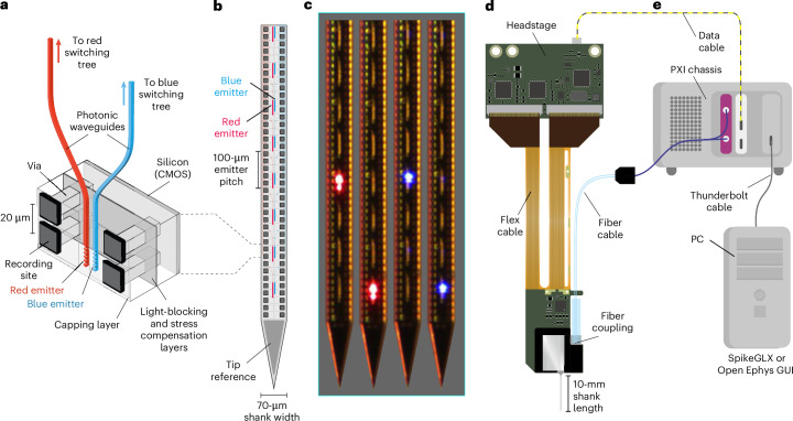 IF36.1|Neuropixels Opto:电生理与光遗传学一体化探针(原文图,详见文章页署名)